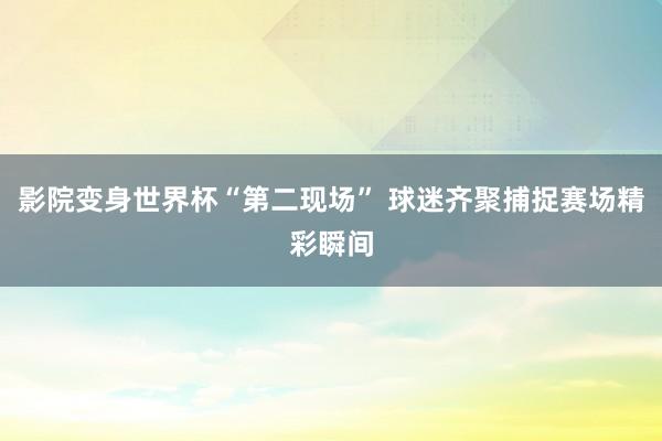 影院变身世界杯“第二现场” 球迷齐聚捕捉赛场精彩瞬间