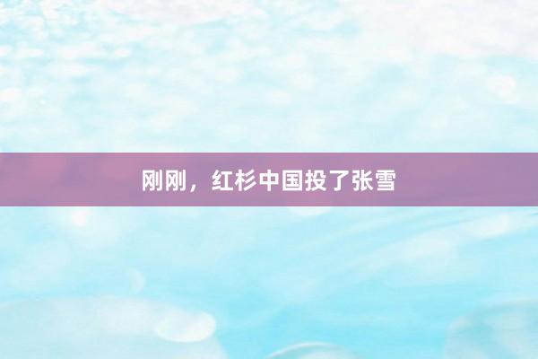 刚刚，红杉中国投了张雪