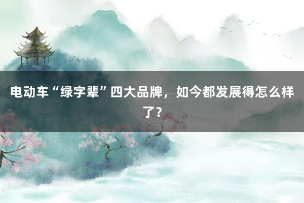 电动车“绿字辈”四大品牌，如今都发展得怎么样了？