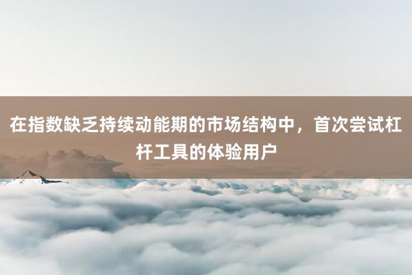 在指数缺乏持续动能期的市场结构中，首次尝试杠杆工具的体验用户