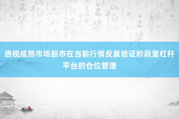 透视成熟市场股市在当前行情反复验证阶段里杠杆平台的仓位管理