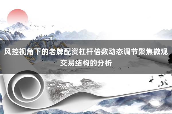 风控视角下的老牌配资杠杆倍数动态调节聚焦微观交易结构的分析