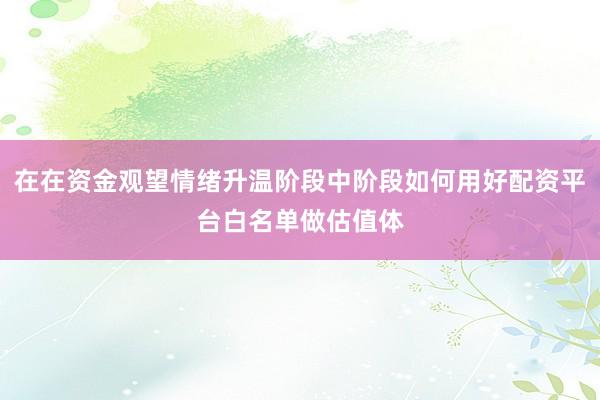 在在资金观望情绪升温阶段中阶段如何用好配资平台白名单做估值体