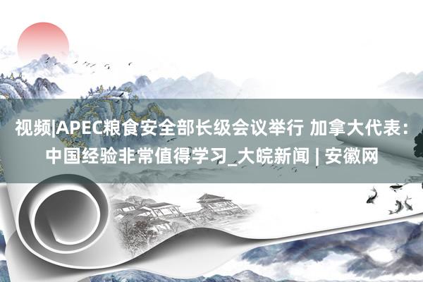 视频|APEC粮食安全部长级会议举行 加拿大代表：中国经验非常值得学习_大皖新闻 | 安徽网