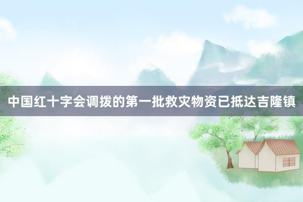 中国红十字会调拨的第一批救灾物资已抵达吉隆镇