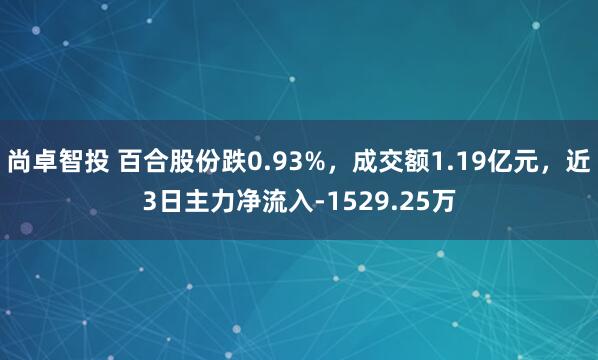 尚卓智投 百合股份跌0.93%，成交额1.19亿元，近3日主力净流入-1529.25万